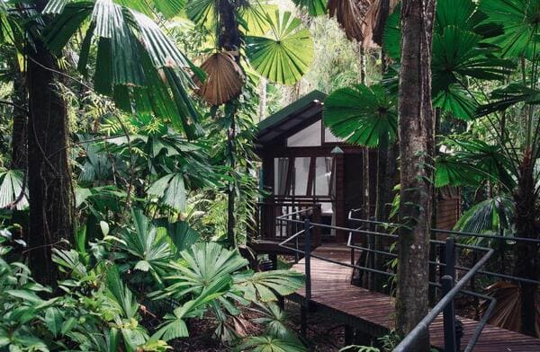 Daintree Wilderness Lodge